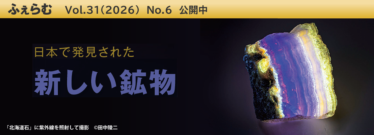 ふぇらむ Vol.31(2026)No.6 公開中